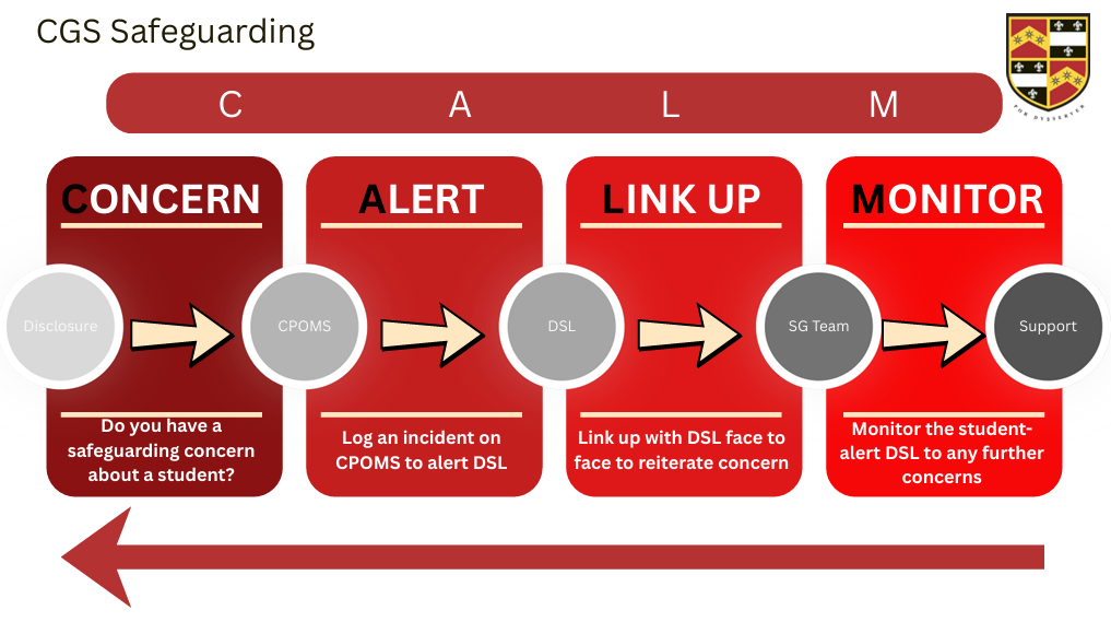 A graphic outlining the CALM Safeguarding reporting procedure.