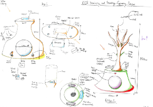 Design and Development of a Speaker Amplifier